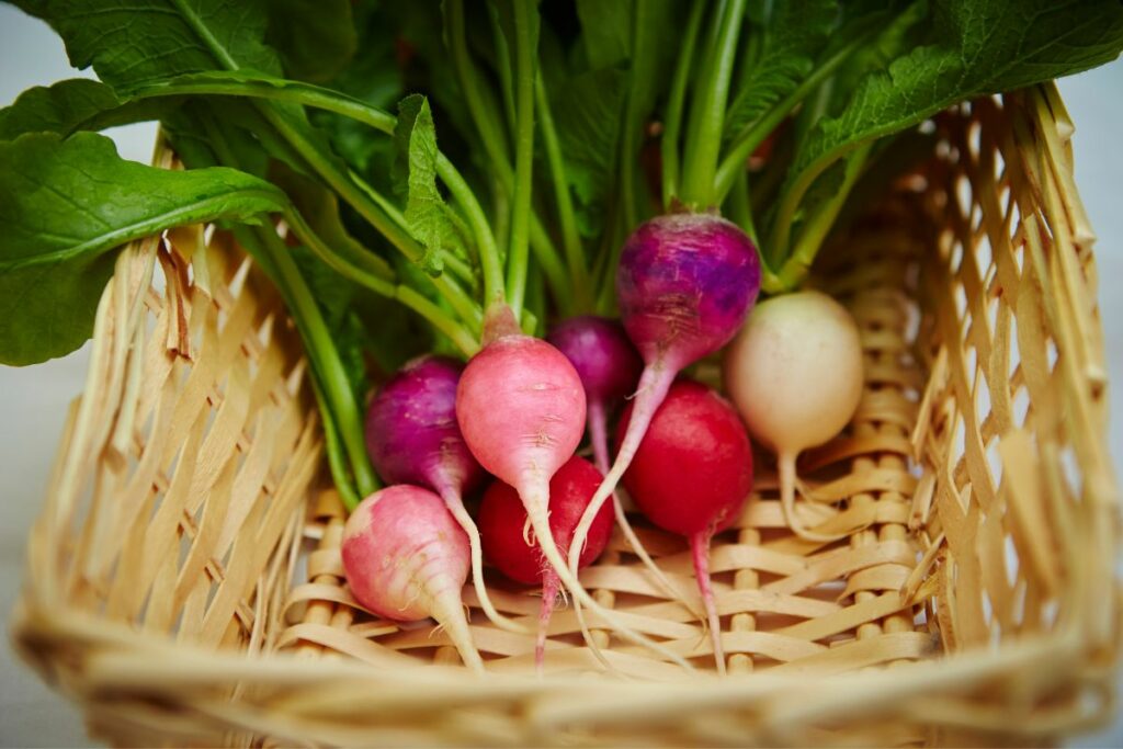 15-Incredible-Vegan-Turnip-Recipes-To-Try-Right-Now
